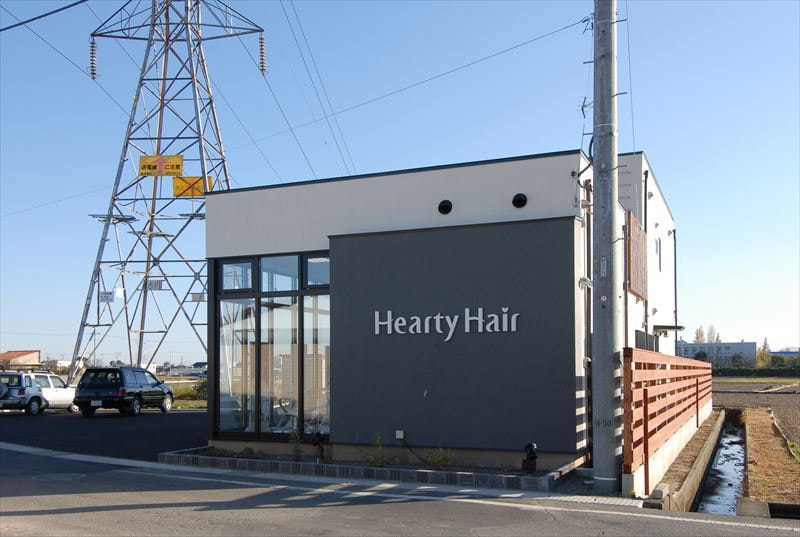 Hearty Hair